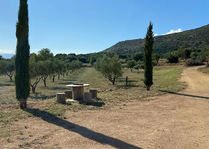 Massana *